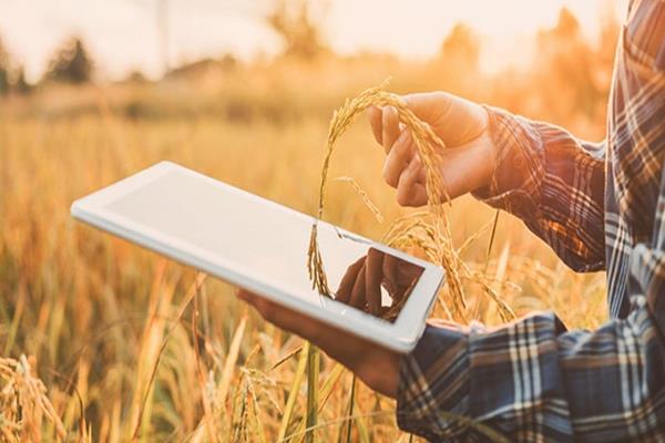 راه اندازی نخستین مدل سکوی دیجیتال در حوزه کشاورزی/ ۳ چالش بخش کشاورزی دیجیتال چیست؟