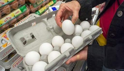 کاهش شدید قیمت تخم مرغ درب مرغداری/ مسئولان جواب تلفن نمی دهند!