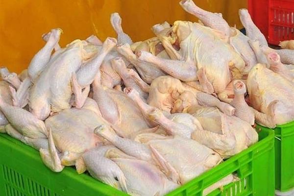 قیمت مصوب مرغ همچنان هر کیلو ۲۰ هزار و ۴۰۰ تومان است