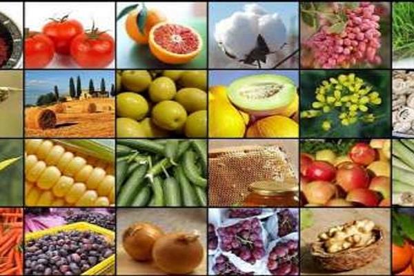 افتتاح هفت واحد صنایع تبدیلی و غذایی در سیستان و بلوچستان 