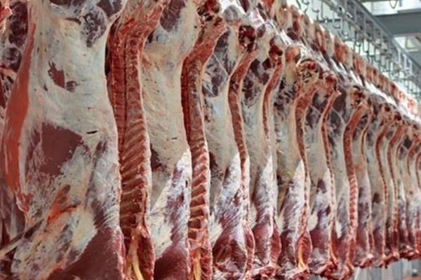 معاون وزیر جهاد کشاورزی: تولید گوشت در کشور به یک‌میلیون تن در سال می‌رسد